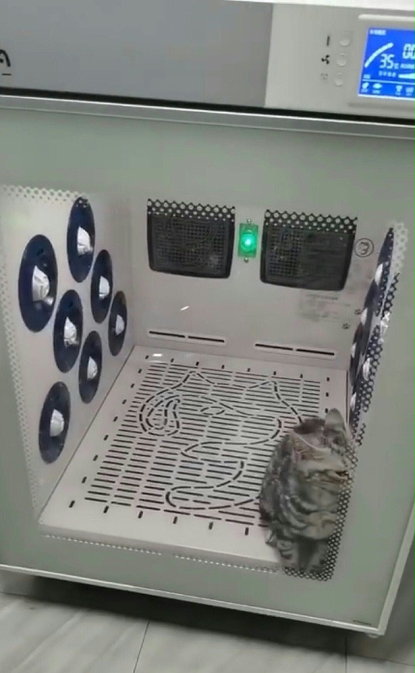 猫舍 欧科达宠物烘干箱