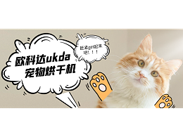 Get这款宠物烘干机，让猫咪在冬天洗完澡也能暖暖哒！