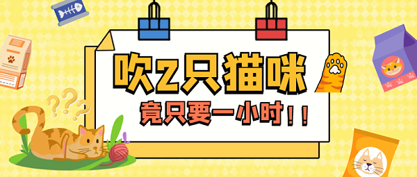 欧科达宠物烘干箱