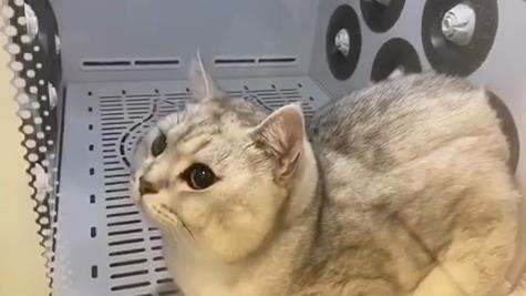 低噪音、烘干快、省力省时