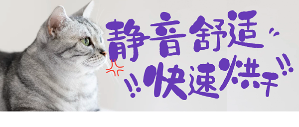 芜湖~有了宠物烘干箱，给猫咪吹毛就跟“开挂”了一样！