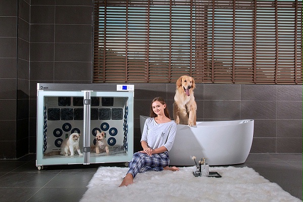猫狗洗澡吹干必备的宠物用品，省事省力，便捷高效！