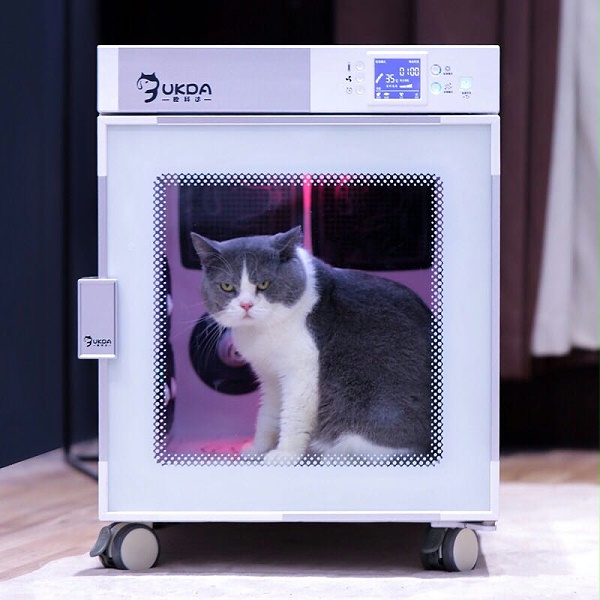 猫咪 欧科达宠物烘干机